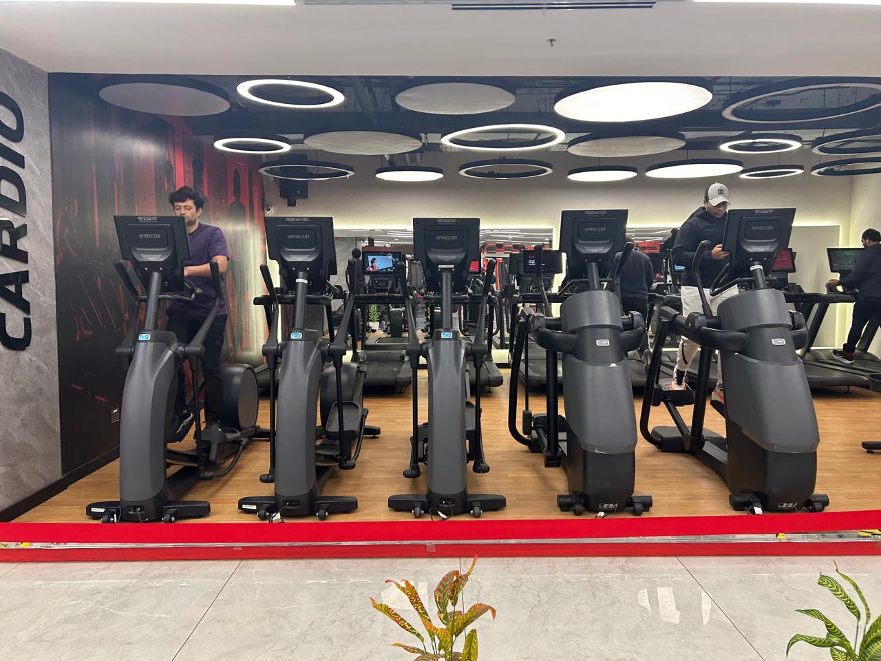 Luxury-Grade Interiors